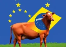 veto da União Europeia à carne bovina