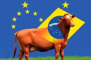 veto da União Europeia à carne bovina