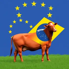 veto da União Europeia à carne bovina