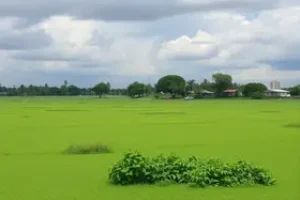 atentado contra vereador do PL em Mossoró