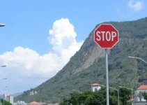 Eleições 2026