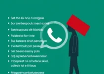 canais de WhatsApp